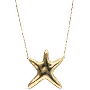 Starborn Necklace