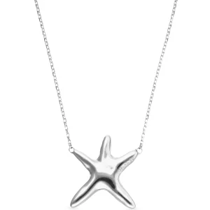 Sterling silver metal alloy necklace with a star