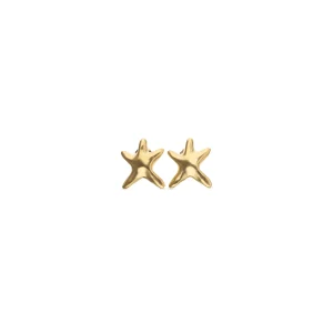 Star Earrings